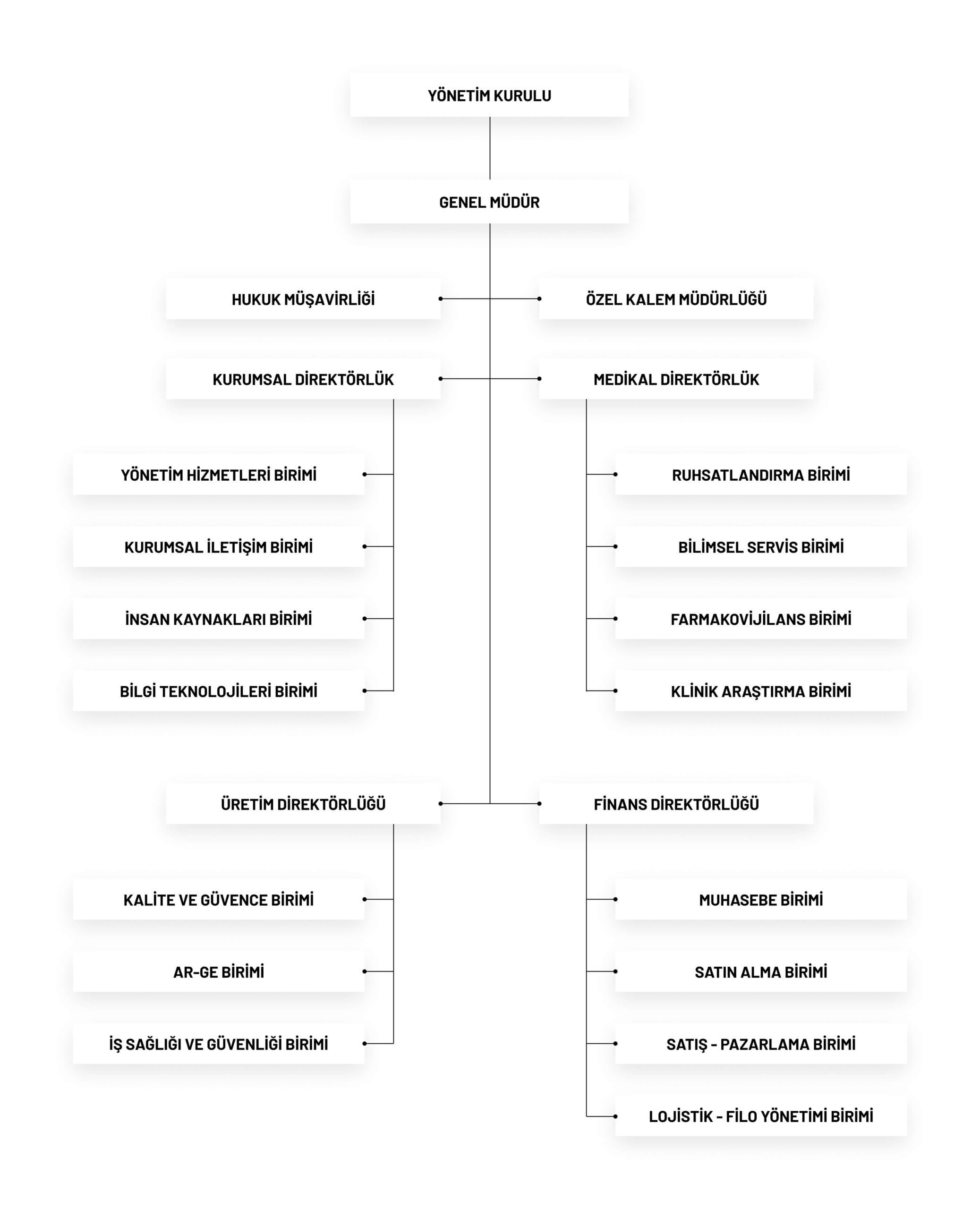 Organizasyon Şeması